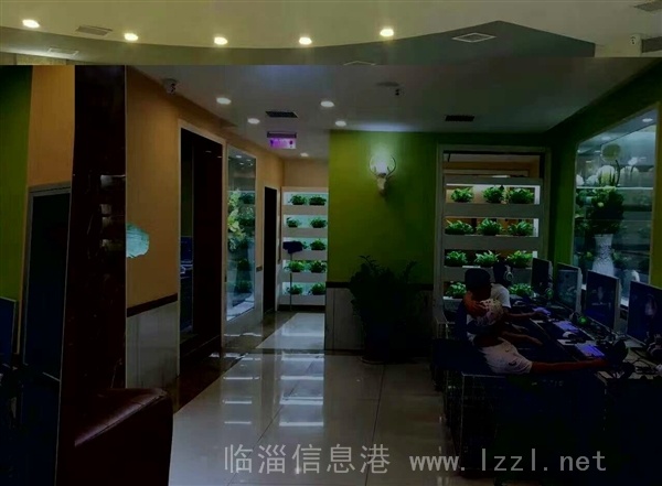 辛店網吧招聘前臺收銀員