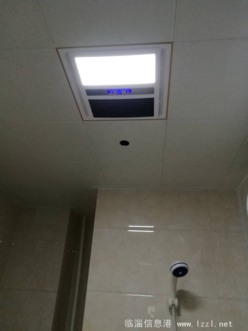 中心城區新房出租 金三角 假日風景