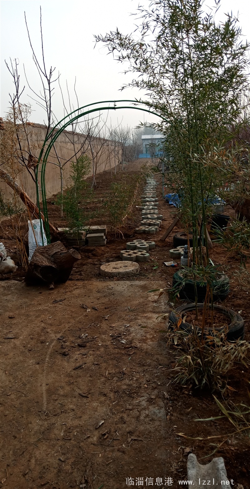 可散養雞農家菜果園租賃