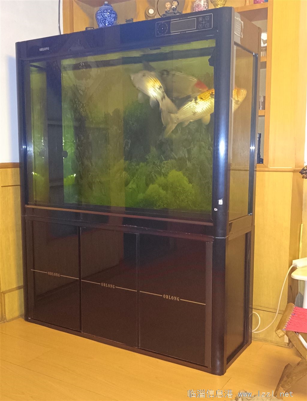 魚缸46O